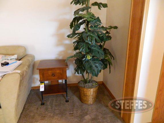 End table - artificial plant_2.jpg